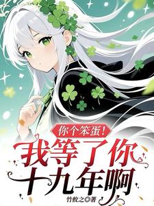 你个笨蛋！我等了你十九年啊你个笨蛋！我等了你十九年啊